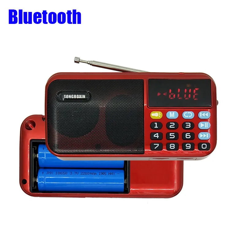 C 803 Portable Bluetooth Speaker FM Radio