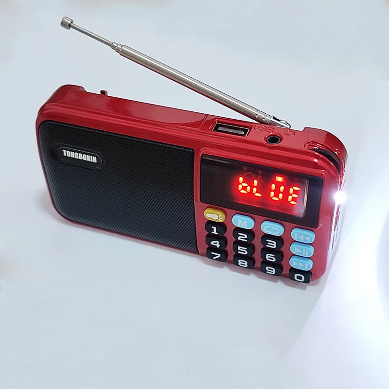 C 803 Portable Bluetooth Speaker FM Radio