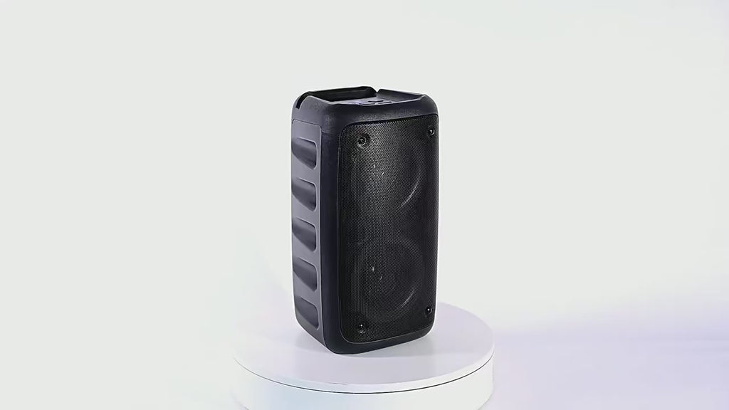 Karaoke Radio FM Bluetooth Speaker Portable Wireless